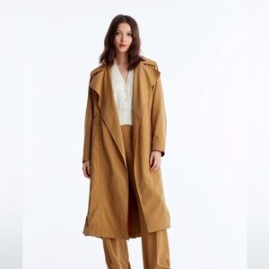 Aritzia Trench Coat